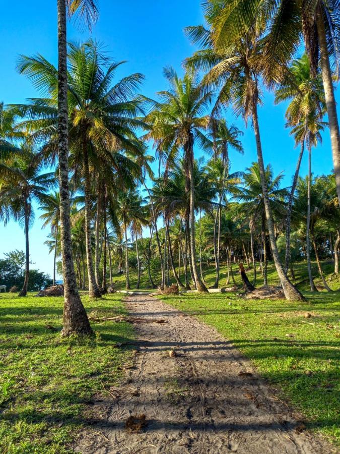 Pousada Beija Flor - Ilha Boipeba Velha Boipeba Ngoại thất bức ảnh